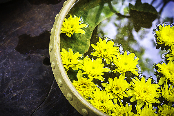 포토 JPG 해외이미지 라이프스타일 꽃잎 선 백그라운드 추상 휴식 건강 사람없음 목재 장식 물 스파 벚꽃 대접 사발 붓기 손톱관리 명상 에코 아로마 향 아로마테라피 테라피 돌봄 에센스 카피스페이스 안락 해외202004 해외포토 자연요소 나무 꽃 컨셉 무늬 재료 모션 생활 뷰티 환경 화장품 공백 사기그릇 네일아트 파일형식 이미지허브
