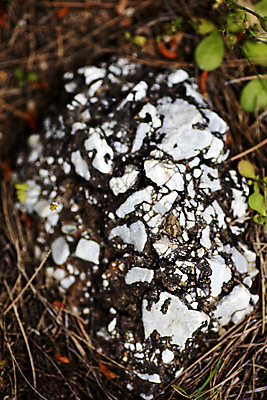 포토 JPG 해외이미지 디자인 벽 백그라운드 패턴 건축양식 자연 표면 날씨 추상 산 바닥 사람없음 우주 검은색 놀람 공백 회색 골동품 바위 거친 묘사 질감 화산 대리석 시멘트 용암 내추럴 그런지 옛날 우수 콘크리트 현무암 화강암 해외202004 해외포토 건축 감정 컬러 무늬 재료 표정 암석 돌_바위 절기 생태계 화산암 파일형식 이미지허브