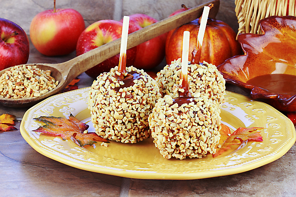 포토 JPG 해외이미지 어린이 음식 잎 과일 재료 호박 디저트 패스트푸드 사탕 3 요리 사람없음 가로 빨간색 바구니 숟가락 식사 할로윈 견과류 대접 신선 막대기 달콤 인스턴트 사과 폐기물 설탕 만취 준비 레시피 성분 나무숟가락 찌그러짐 어려움 피칸 해로움 캐러멜 많음 해외202004 해외포토 식물 컬러 컨셉 채소 수저 사람 맛 쓰레기 술취함 파일형식 이미지허브