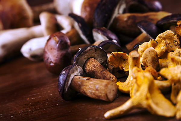 포토 JPG 해외이미지 식물 계절 음식 백그라운드 잎 신체 채소 자연 이끼 사람없음 목재 세트 갈색 노란색 바구니 버섯 가을 신선 숲 먹기 양동이 가득함 날것 내추럴 채식주의자 캡모자 해외202004 해외포토 나무 모자_잡화 컬러 재료 모션 생태계 채식 파일형식 이미지허브