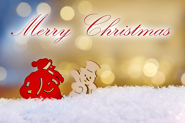 포토 JPG 해외이미지 나무 디자인 계절 행복 백그라운드 크리스마스 겨울 눈사람 휴가 새로움 기념 선물 사람없음 장식 빨간색 빛 장난감 산타클로스 우주 축제 흰색 축하 인사 신용카드 눈송이 12월 연도 오브젝트 보케 무료 인공 클라우스 해외202004 해외포토 식물 기념일 감정 컬러 컨셉 눈_날씨 금융 예절 날짜 파일형식 이미지허브