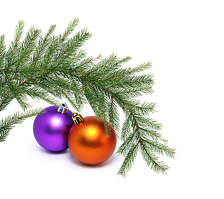 포토 JPG 해외이미지 잎 크리스마스장식 크리스마스 실내 사람없음 장식볼 오브젝트 흰배경 오너먼트 해외202004 해외포토 식물 기념일 백그라운드 내부 장식 흰색 파일형식 이미지허브