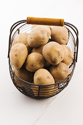 포토 JPG 해외이미지 식물 전통 음식 농업 다이어트 채소 재료 자연 감자 건강 요리 사람없음 여름 농작물 농장 갈색 쌓기 정원 수확 시골 신선 그룹 황금 맛 먹기 유기농 원예 날것 뿌리 흙더미 내추럴 땅바닥 밭일 생식 숙성 채식주의자 탄수화물 많음 비건 해외202004 해외포토 웰빙 계절 산업 컬러 컨셉 모션 바닥 취미 흙 생태계 채식 파일형식 더미 이미지허브