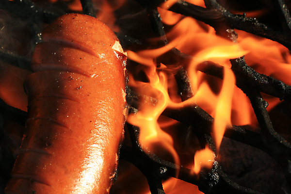 포토 JPG 해외이미지 음식 불 불꽃 육류 요리 사람없음 검은색 저녁식사 뜨거움 소시지 끝 개 그릴 숯 연소 화상 해외202004 해외포토 자연요소 컬러 식재료 포유류 주방용품 식사 가공식품 상처 파일형식 이미지허브