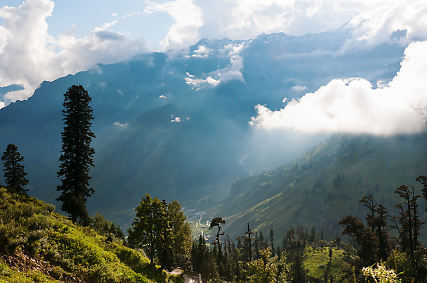 포토 JPG 해외이미지 나무 구름 야생동물 여행 자연 날씨 산 안테나 풍경 사람없음 야외 초록색 여름 햇빛 계곡 어둠 힘 안개 광선 나뭇가지 소나무 황무지 숲 이슬 인도인 언덕 에코 산등성이 싸움 만들기 상록수 침엽수 뿌연 전국 투쟁 히말라야 해외202004 해외포토 자연요소 외국인 식물 동물 계절 컬러 통신 모션 동양인 태양 환경 생태계 파일형식 산맥 이미지허브