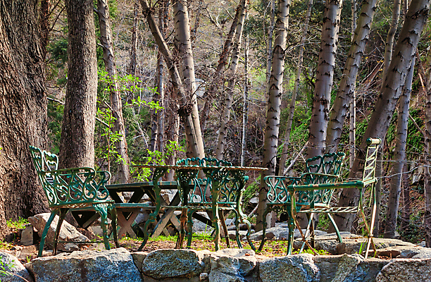 포토 JPG 해외이미지 나무 의자 자연 탁자 산 풍경 사람없음 야외 초록색 컬러풀 햇빛 식사 원형 숲 캘리포니아 로스앤젤레스 해외202004 해외포토 도형 식물 컬러 가구 태양 미국 생태계 파일형식 이미지허브