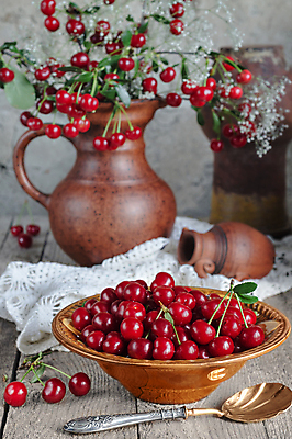 포토 JPG 해외이미지 그릇 계절 열매 음식 꽃다발 백그라운드 과일 탁자 디저트 건강 서기 사람없음 목재 빨간색 여름 숟가락 수확 흰색 시골 신선 도자기 체리 사발 달콤 냄비 가득함 유기농 냅킨 거짓말 숙성 해외202004 해외포토 나무 식물 식기 웰빙 꽃 컬러 가구 농업 재료 모션 수저 사기그릇 맛 솥 파일형식 이미지허브