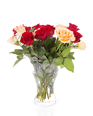 포토 JPG 해외이미지 꽃 꽃다발 잎 오렌지 자연 유리 사람없음 빨간색 장미 꽃병 고립 해외202004 해외포토 식물 컬러 과일 재질 생태계 파일형식 이미지허브