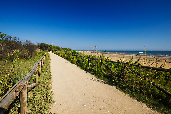포토 JPG 해외이미지 나무 도로 길 모래 바다 하늘 풍경 사람없음 야외 물 여름 파란색 햇빛 태양 맑음 휴양지 수평선 해외202004 해외포토 자연요소 식물 계절 컬러 교통시설 날씨 장소 파일형식 이미지허브