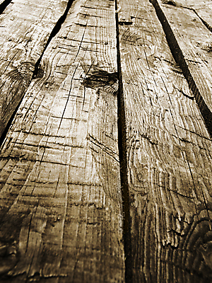 포토 JPG 해외이미지 나무 디자인 벽 백그라운드 패턴 자연 표면 날씨 추상 바닥 프레임 사람없음 목재 갈색 우주 어둠 줄무늬 골동품 시골 거친 널 낟알 가득함 질감 복고 매듭 결 내추럴 구식 세피아 옛날 줄서기 해외202004 해외포토 식물 컬러 무늬 재료 모션 촬영기법 생태계 파일형식 이미지허브