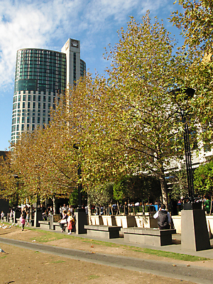 포토 JPG 해외이미지 나무 사람없음 램프 도시 호주 아래 남쪽 멜버른 빅토리아 해외202004 해외포토 식물 조명 오세아니아 방향 위치 파일형식 이미지허브