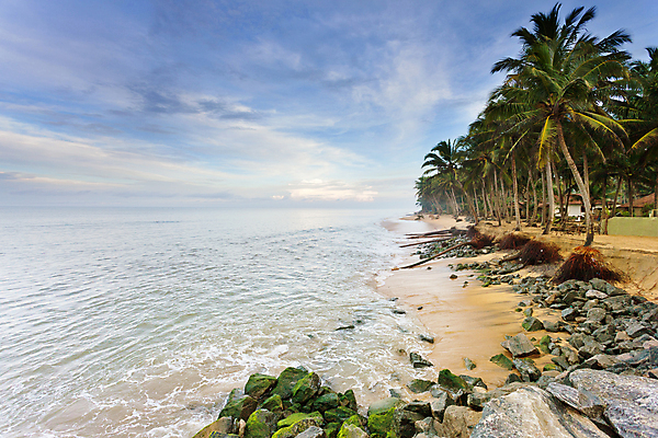 포토 JPG 해외이미지 아시아 여유 모래 바다 여행 자연 휴가 휴식 풍경 사람없음 물 여름 모래사장 야자수 햇빛 평화 맑음 자유 조약돌 바위 시골 만 편안함 엽서 내추럴 스리랑카 파라다이스 해외202004 해외포토 자연요소 나무 계절 감정 나라 컨셉 날씨 태양 돌_바위 감각 편지 생태계 파일형식 이미지허브