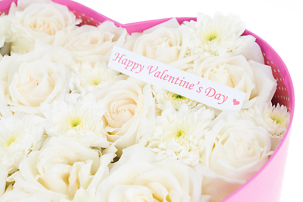 포토 JPG 해외이미지 모양 꽃잎 꽃 행복 백그라운드 휴가 발렌타인데이 선물 사랑 사람없음 빨간색 상자 장미 라벨 흰색 하트 축하 활 다이아몬드 고립 해외202004 해외포토 식물 감정 컬러 컨셉 데이이벤트 프레임 보석 파일형식 이미지허브