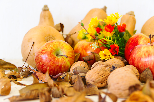 포토 JPG 해외이미지 계절 음식 백그라운드 잎 오렌지 과일 자연 호박 휴가 건강 사람없음 장식 빨간색 농장 노란색 할로윈 수확 가을 흰색 신선 사과 유기농 추수감사절 고립 해외202004 해외포토 식물 웰빙 기독교 컬러 농업 채소 생태계 파일형식 이미지허브