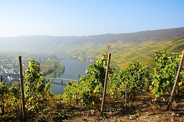 포토 JPG 해외이미지 사람없음 해외202004 해외포토 파일형식 이미지허브