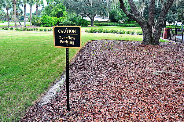 포토 JPG 해외이미지 나무 식물 공원 잎 하늘 경고 사람없음 빨간색 초록색 파란색 갈색 검은색 정보 황금 사인 도마뱀 해외202004 해외포토 공공시설 컬러 파충류 파일형식이미지허브 