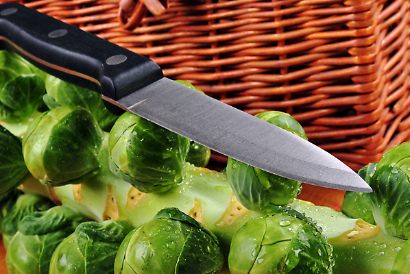 포토 JPG 해외이미지 음식 다이어트 채소 건강 요리 사람없음 새싹 저녁식사 신선 맛 인스턴트 먹기 만족 유기농 브뤼셀 해외202004 해외포토 식물 웰빙 감정 컨셉 모션 식사 파일형식 이미지허브