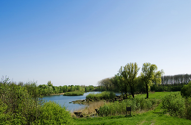 포토 JPG 해외이미지 밭 하늘 풍경 사람없음 초록색 물 파란색 강 시골 네덜란드 해외202004 해외포토 자연요소 유럽 컬러 농업 파일형식 이미지허브