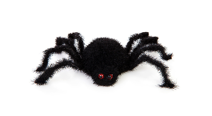 포토 JPG 해외이미지 사람없음 장식 장난감 검은색 할로윈 닫기 무서움 모피 거미 거짓 고립 몬스터 해외202004 해외포토 감정 컬러 곤충 모션 파일형식 이미지허브
