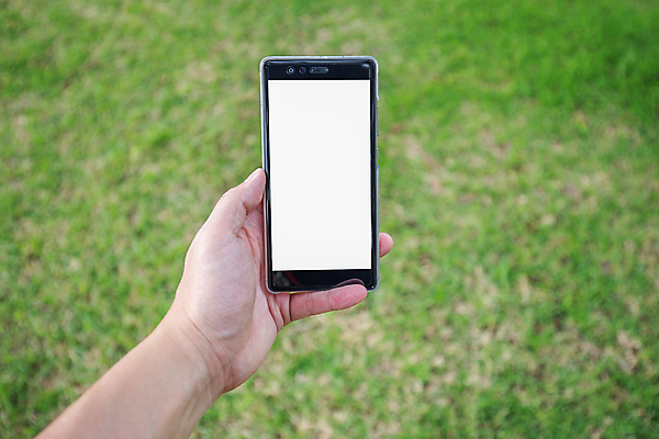 포토 JPG 해외이미지 손 공원 인터넷 텍스트 통신 손가락 자연 놀이 표면 모바일 휴식 사람없음 초록색 스마트폰 핸드폰 알약 스크린 정원 검은색 공백 터치 엄지손가락 흰색 반지 잡기 메시지 왼쪽 전화기 손목 전자 부름 기어 대답 문자메시지 블러 해외202004 해외포토 공공시설 컬러 컨셉 장신구 모션 신체부위 전자제품 스마트기기 약 방향 생태계 파일형식 이미지허브