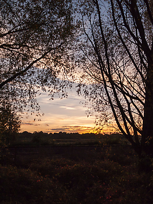 포토 JPG 해외이미지 나무 식물 계절 공원 실루엣 여행 백그라운드 잎 오렌지 아프리카 자연 하늘 아침 풍경 사람없음 야외 목재 여름 파란색 빛 햇빛 태양 노란색 일출 환경 검은색 어둠 황혼 일몰 새벽 가을 나뭇가지 시골 저녁 숲 장면 내추럴 해외202004 해외포토 주간 자연요소 공공시설 나라 컬러 과일 재료 촬영기법 노을 야간 생태계 파일형식 이미지허브