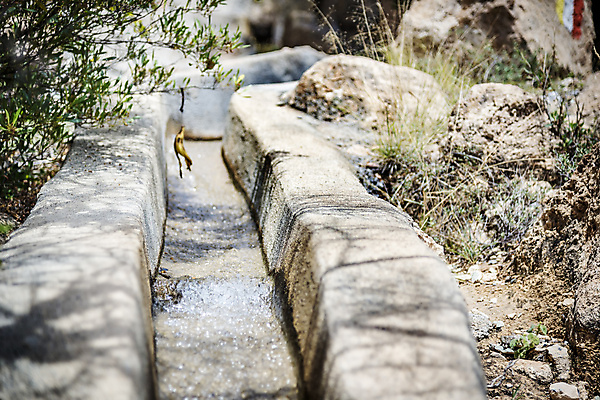 포토 JPG 해외이미지 도로 모래 여행 자국 자연 산 건조 풍경 사람없음 야외 물 마을 골짜기 계곡 트래킹 사막 탐험 거친 황무지 중앙 언덕 아라비아 시스템 동쪽 깊이 루트 선로 오지 원정 지질학 해외202004 해외포토 자연요소 교육 길 교통시설 레저 방향 생태계 파일형식 이미지허브