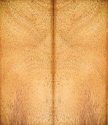 포토 JPG 해외이미지 디자인 산업 선 벽 가구 백그라운드 패턴 건축양식 자연 벽지 표면 추상 바닥 주택 사람없음 내부 목재 장식 빛 문 줄무늬 소나무 판넬 닫기 널 매끈함 낟알 묘사 질감 잡동사니 그런지 수목 진짜 스타일 파케트 해외202004 해외포토 나무 건축 생활용품 무늬 재료 모션 건물 감각 생태계 파일형식 이미지허브