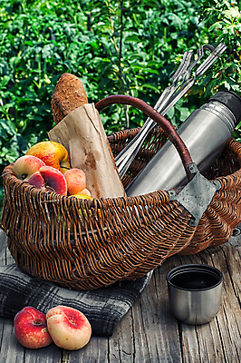 포토 JPG 해외이미지 라이프스타일 꽃 음료 음식 빵 과일 자연 탁자 휴가 건강 잔디 사람없음 야외 소풍 바구니 맑음 직물 신선 꼬치 사과 담요 먹기 복숭아 해외202004 해외포토 식물 가구 모션 날씨 생활 야외활동 생태계 파일형식 이미지허브