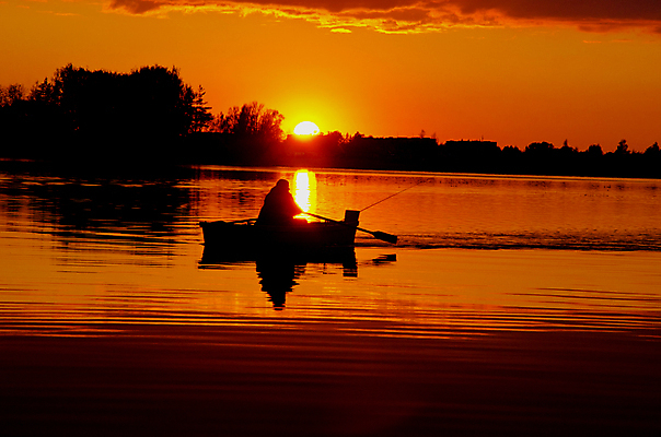 포토 JPG 해외이미지 실루엣 백그라운드 자연 하늘 풍경 사람없음 빨간색 햇빛 태양 일몰 저녁 내추럴 수평선 해외202004 해외포토 자연요소 컬러 촬영기법 노을 야간 생태계 파일형식 이미지허브