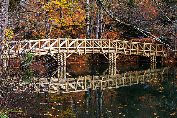 포토 JPG 해외이미지 나무 식물 계절 유럽 호수 잎 밭 오렌지 자연 건조 풍경 사람없음 물 강 반사 환경 성장 가을 나뭇가지 액체 떨어짐 숲 연결 유기농 칠면조 내추럴 생태학 해외202004 해외포토 자연요소 웰빙 교육 나라 컨셉 농업 과일 조류 생태계 파일형식 이미지허브
