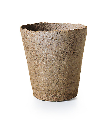 포토 JPG 해외이미지 식물 꽃 화분 백그라운드 컨셉 새로움 취미 사람없음 갈색 쌓기 흙 오브젝트 원예 분재 심기 해외202004 해외포토 나무 컬러 모션 파일형식 이미지허브