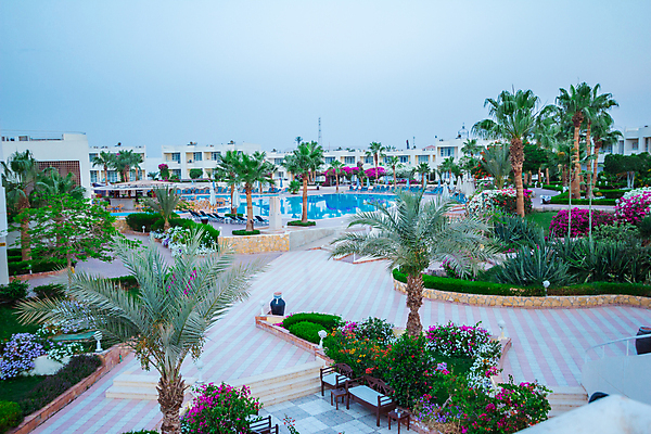 포토 JPG 해외이미지 나무 식물 구름 꽃 길 잎 우산 하늘 이집트 사람없음 물 태양 당구 해외202004 해외포토 자연요소 아프리카 구기 파일형식 이미지허브