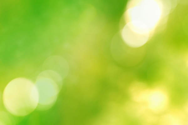 포토 JPG 해외이미지 사람없음 초록색 소프트포커스 보케 빛망울 블러 블러효과 보케백그라운드 해외202004 해외포토 컬러 백그라운드 촬영기법 빛 파일형식 효과 이미지허브