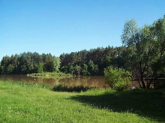 포토 JPG 해외이미지 나무 계절 공원 호수 여행 백그라운드 자연 하늘 파노라마 풍경 사람없음 초록색 물 여름 파란색 강 컬러풀 봄 숲 장면 내추럴 해외202004 해외포토 자연요소 식물 공공시설 컬러 촬영기법 생태계 파일형식 이미지허브
