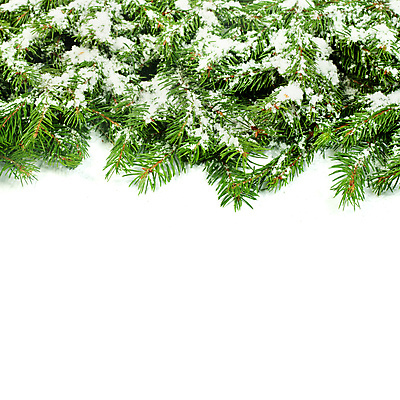 포토 JPG 해외이미지 나무 식물 템플릿 포스터 백그라운드 잎 크리스마스 겨울 자연 벽지 휴가 새로움 새해 프레임 선물 사람없음 장식 초록색 우주 공백 방 추위 흰색 나뭇가지 축하 인사 신용카드 눈송이 메시지 숲 연도 엽서 뼈대 전나무 고립 노엘 제설기 해외202004 해외포토 계절 기념일 컬러 컨셉 눈_날씨 금융 예절 편지 생태계 제설 파일형식 이미지허브