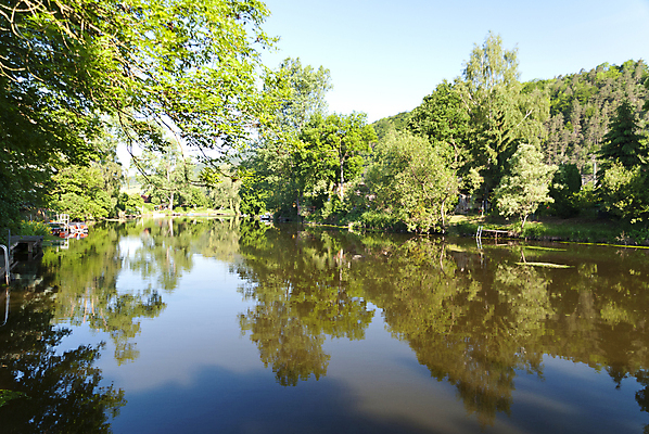 포토 JPG 해외이미지 나무 자국 자연 독일 풍경 사람없음 물 강 걷기 하이킹 해외202004 해외포토 자연요소 식물 유럽 모션 레저 생태계 파일형식 이미지허브