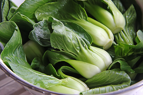 포토 JPG 해외이미지 아시아 채소 요리 동양인 사람없음 초록색 중국 아기 신선 날것 성분 랜 해외202004 해외포토 나라 컬러 사람 인종 파일형식 이미지허브