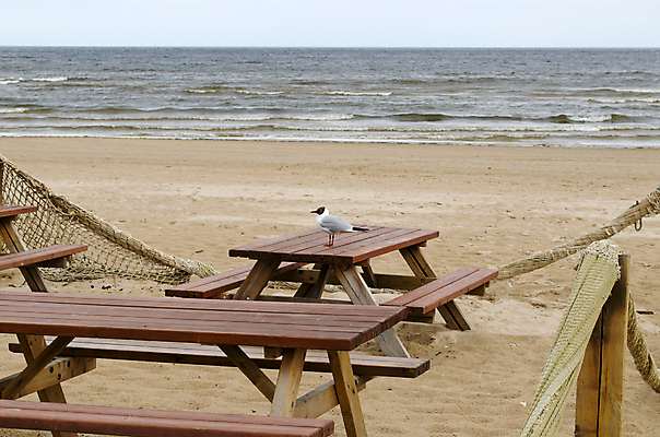 포토 JPG 해외이미지 공원 모래 바다 여행 벤치 의자 자연 탁자 하늘 휴식 풍경 해변 사람없음 야외 목재 물 여름 빛 햇빛 갈색 식당 맑음 카페 휴양지 수평선 해외202004 해외포토 자연요소 나무 계절 공공시설 컬러 가구 컨셉 재료 날씨 태양 상점 장소 생태계 파일형식 이미지허브