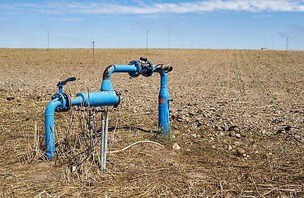 포토 JPG 해외이미지 나무 식물 산업 컨셉 자연 사람없음 야외 초록색 물 환경 금속 정원 장비 젖음 신선 떨어짐 씻기 물주기 수도꼭지 원예 시스템 호스 튜브 스프링쿨러 압력 옛날 파이프라인 해외202004 해외포토 자연요소 컬러 모션 재질 취미 청결 생태계 파이프_관 파일형식 이미지허브
