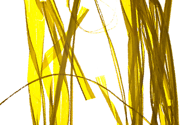 포토 JPG 해외이미지 백그라운드 패턴 유리 추상 잔디 사람없음 장식 초록색 흰색 투명 자르기 유기농 질감 고립 해외202004 해외포토 식물 웰빙 컬러 무늬 모션 재질 파일형식 이미지허브