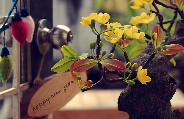 포토 JPG 해외이미지 전통 배너 아시아 화분 백그라운드 봄꽃 자연 새해 미술 동양인 사람없음 장식 노란색 놀람 봄 나뭇가지 만족 흰배경 베트남 점토 해피뉴이어 분재 DIY 살구 인공 핸드메이드 해외202004 해외포토 나무 계절 꽃 감정 나라 컬러 과일 문화예술 표정 인종 취미 동남아시아 새해인사 흰색 생태계 파일형식 이미지허브