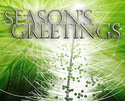 포토 JPG 해외이미지 클립아트 디자인 계절 행복 조각 백그라운드 컨셉 크리스마스 겨울 일러스트 응원 벽지 추상 휴가 새로움 기념 선물 사람없음 그래픽 장식 축제 희망 축하 인사 신용카드 눈송이 화려 12월 연도 기회 광 특별함 해외202004 해외일러스트 기념일 감정 무늬 눈_날씨 금융 예절 날짜 파일형식 이미지허브