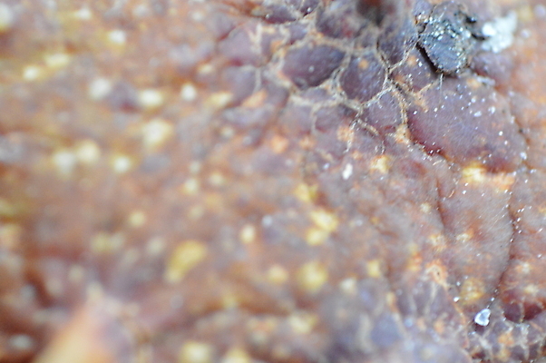 포토 JPG 해외이미지 나무 식물 계절 공원 백그라운드 잎 오렌지 과일 자연 건조 사람없음 목재 컬러풀 갈색 정원 활발 가을 황금 숲 9월 10월 내추럴 땅바닥 해외202004 해외포토 공공시설 컬러 컨셉 재료 바닥 날짜 생태계 파일형식 이미지허브