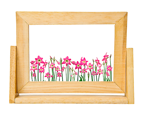 포토 JPG 해외이미지 식물 계절 꽃잎 꽃 클리핑패스 줄기 분홍색 잎 꽃무늬 전구 자연 프레임 종류 사람없음 빨간색 초록색 머리 우주 정원 봄 활발 성장 벚꽃 흰색 개화 닫기 백합 싱글 원예 쇼 꽃가루 내추럴 고립 꽃수술 해외202004 해외포토 컬러 컨셉 무늬 모션 취미 신체부위 가루 생태계 파일형식 이미지허브