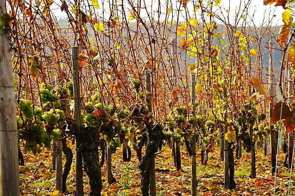 포토 JPG 해외이미지 사람없음 해외202004 해외포토 파일형식 이미지허브