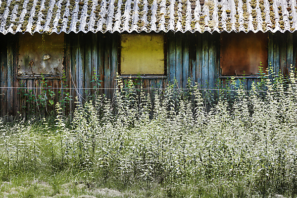 포토 JPG 해외이미지 백그라운드 지붕 날씨 사람없음 건물 목재 파란색 농장 수확 가을 시골 얼룩 버리기 네덜란드 복고 외양간 골절 그런지 깨짐 옛날 해외202004 해외포토 나무 건축물 계절 유럽 컬러 컨셉 농업 재료 의학 모션 파일형식 이미지허브