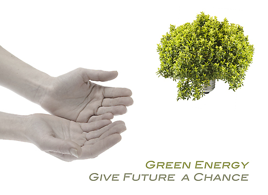 포토 JPG 해외이미지 식물 전구 사람없음 초록색 빛 환경 에코 해외202004 해외포토 컬러 파일형식 이미지허브