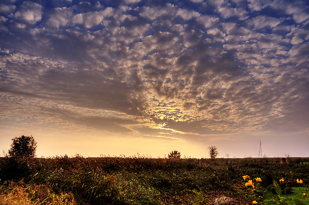 포토 JPG 해외이미지 구름 호수 바다 단풍 하늘 아침 날씨 독일 풍경 사람없음 물 컬러풀 일출 어둠 가을 만 분위기 그림 발트해 해외202004 해외포토 주간 자연요소 계절 유럽 컬러 컨셉 잎 북유럽 노을 파일형식 이미지허브