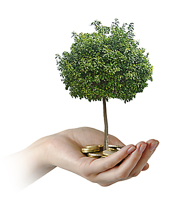 포토 JPG 해외이미지 나무 식물 손 계절 유럽 음식 백그라운드 컨셉 잎 돈 농업 오렌지 과일 비즈니스 자연 귤 선물 사람없음 초록색 환경 동전 유로 성장 덮개 흰색 비즈니스우먼 보호 농부 투자 개발 고립 밭일 생태학 승인 심기 유럽연합 투자자 해외202004 해외포토 직업 여자 교육 나라 산업 컬러 모션 신체부위 뚜껑 직장인 재산 생태계 파일형식 이미지허브