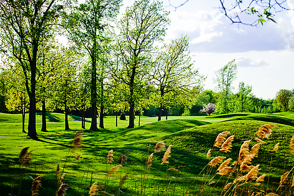 포토 JPG 해외이미지 나무 라이프스타일 스포츠 여행 백그라운드 밭 골프 자연 놀이 하늘 바람 휴가 그림자 풍경 잔디 사람없음 야외 목재 초록색 여름 컬러풀 햇빛 태양 우주 일몰 경쟁 새벽 게임 숲 강의 클럽 휴양지 울퉁불퉁 해외202004 해외포토 자연요소 식물 계절 컬러 컨셉 농업 재료 날씨 생활 구기 노을 장소 생태계 파일형식 이미지허브